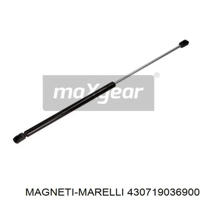 430719036900 Magneti Marelli Амортизатор кришки багажника / двері 3/5-ї задньої