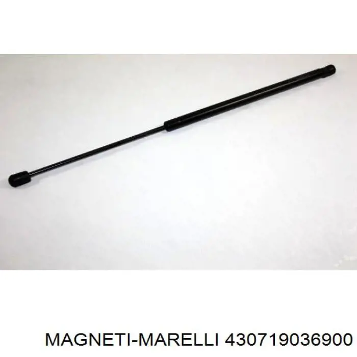 Амортизатор двері задньої Magneti Marelli 430719036900 ціна, від 9.22 USD