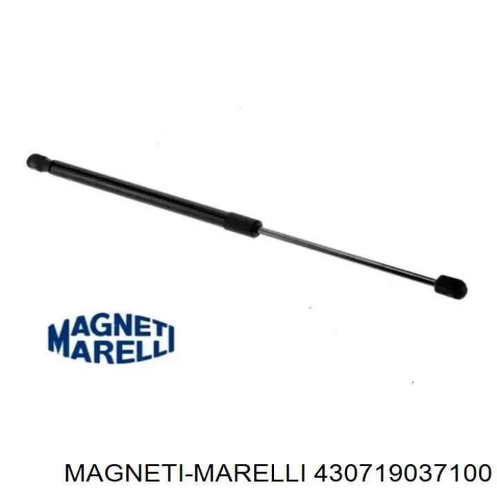 Амортизатор двері задньої Magneti Marelli 430719037100 ціна, від 6.97 USD