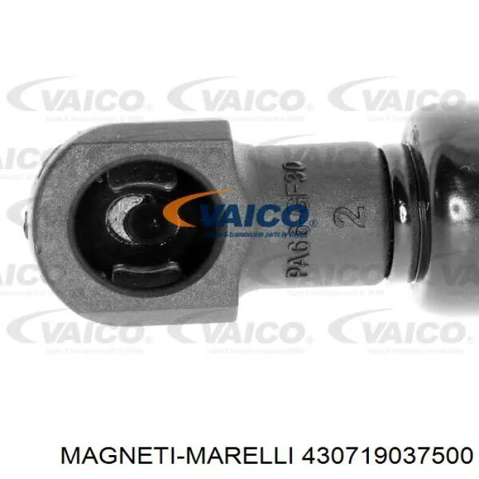 430719037500 Magneti Marelli амортизатор кришки багажника/ двері 3/5-ї задньої