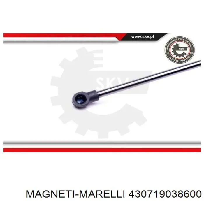 430719038600 Magneti Marelli амортизатор капота