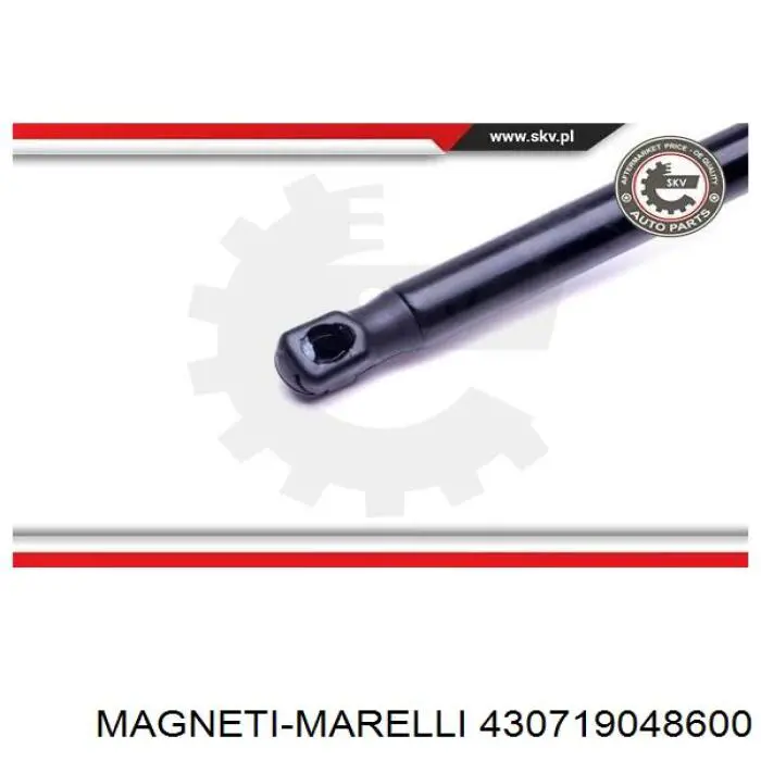 Амортизатор двері задньої Magneti Marelli 430719048600 ціна, від 7.98 USD