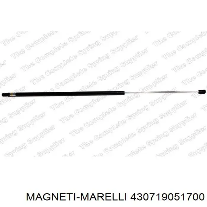 Амортизатор двері задньої Magneti Marelli 430719051700 ціна, від 15.74 USD