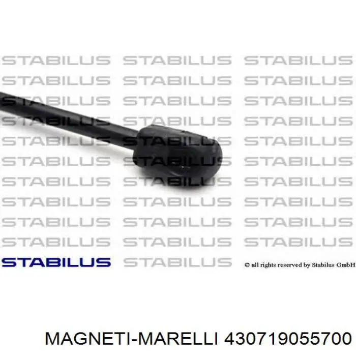 Купити 430719055700 Magneti Marelli Амортизатор двері багажника