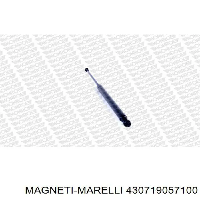 Амортизатор двері задньої Magneti Marelli 430719057100 ціна, від 5.64 USD