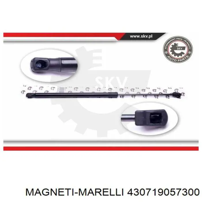 430719057300 Magneti Marelli амортизатор кришки багажника/ двері 3/5-ї задньої