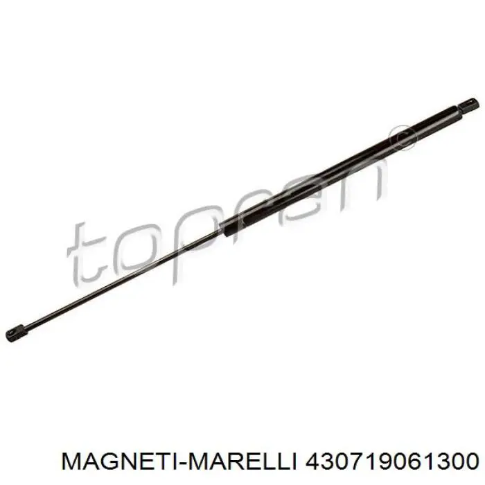 Купити 430719061300 Magneti Marelli Амортизатор скла задніх, 3/5-ї двері (ляди)