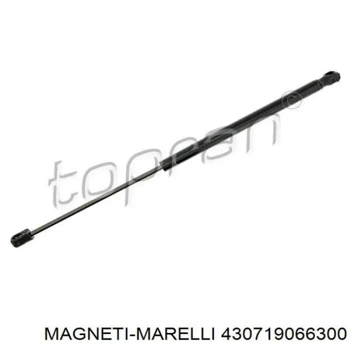 Амортизатор двері задньої Magneti Marelli 430719066300 ціна, від 11.62 USD