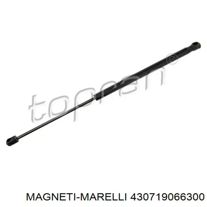 430719066300 Magneti Marelli Амортизатор кришки багажника / двері 3/5-ї задньої