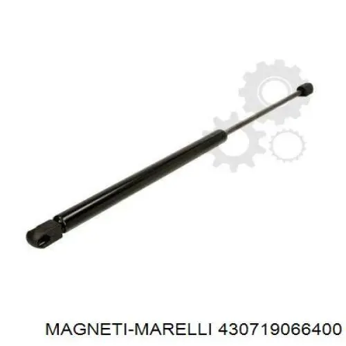 Амортизатор скла задніх, 3/5-ї двері (ляди) Magneti Marelli 430719066400 ціна, від 9.75 USD