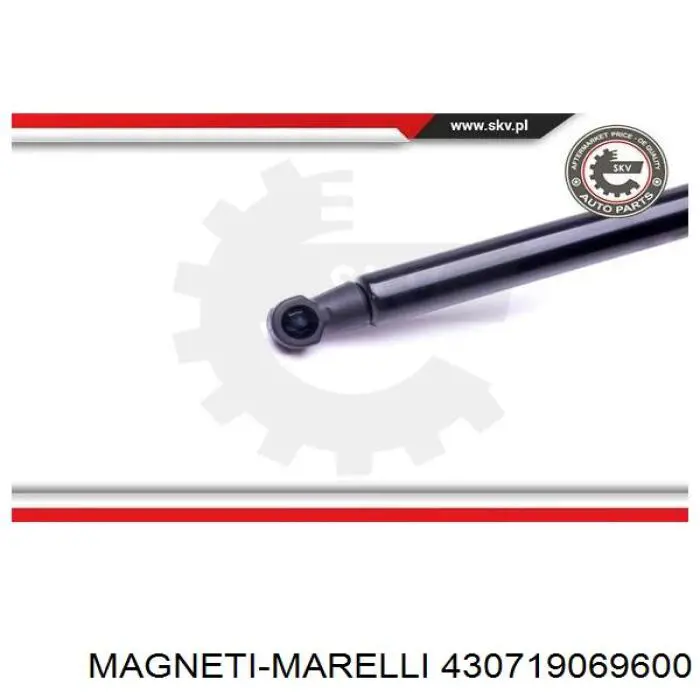 Амортизатор багажника 844300001R Renault (RVI)