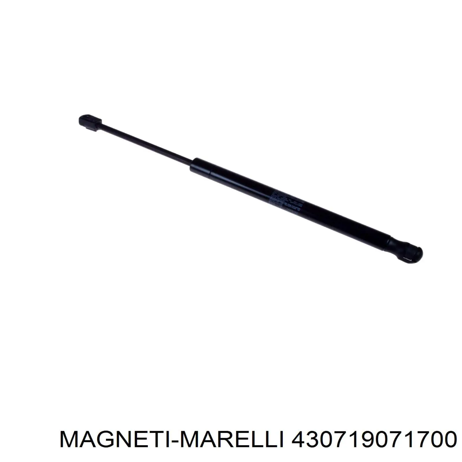  430719071700 Magneti Marelli