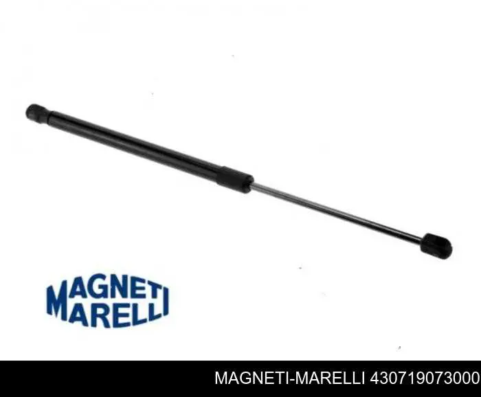 Амортизатор двері задньої Magneti Marelli 430719073000 ціна, від 10.51 USD