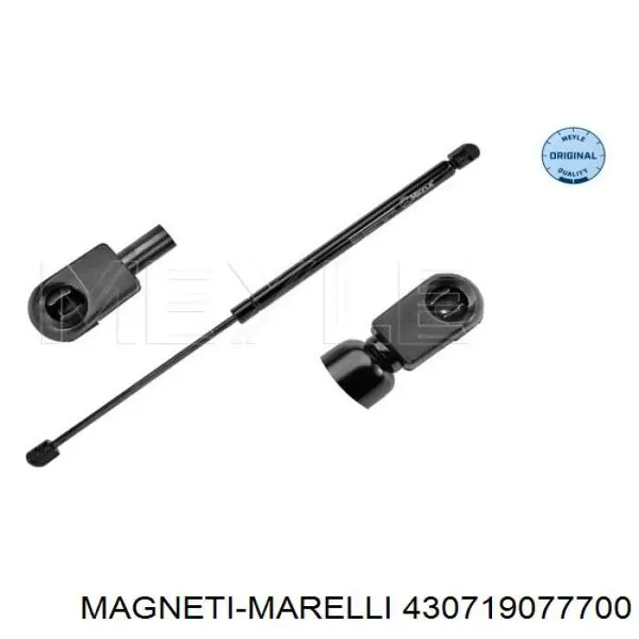 Амортизатор двері задньої Magneti Marelli 430719077700 ціна, від 12.77 USD