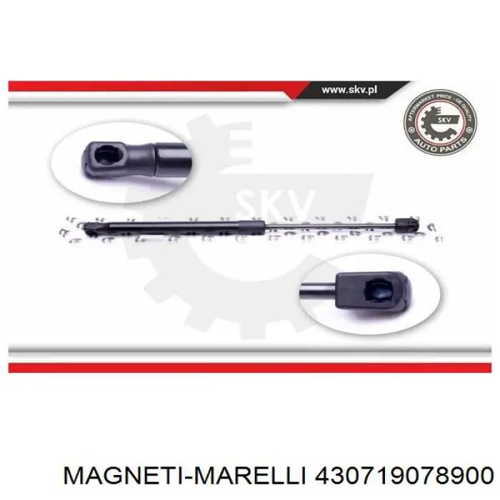 430719078900 Magneti Marelli амортизатор кришки багажника/ двері 3/5-ї задньої
