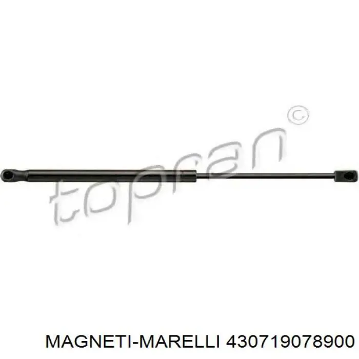 430719078900 Magneti Marelli Амортизатор кришки багажника / двері 3/5-ї задньої