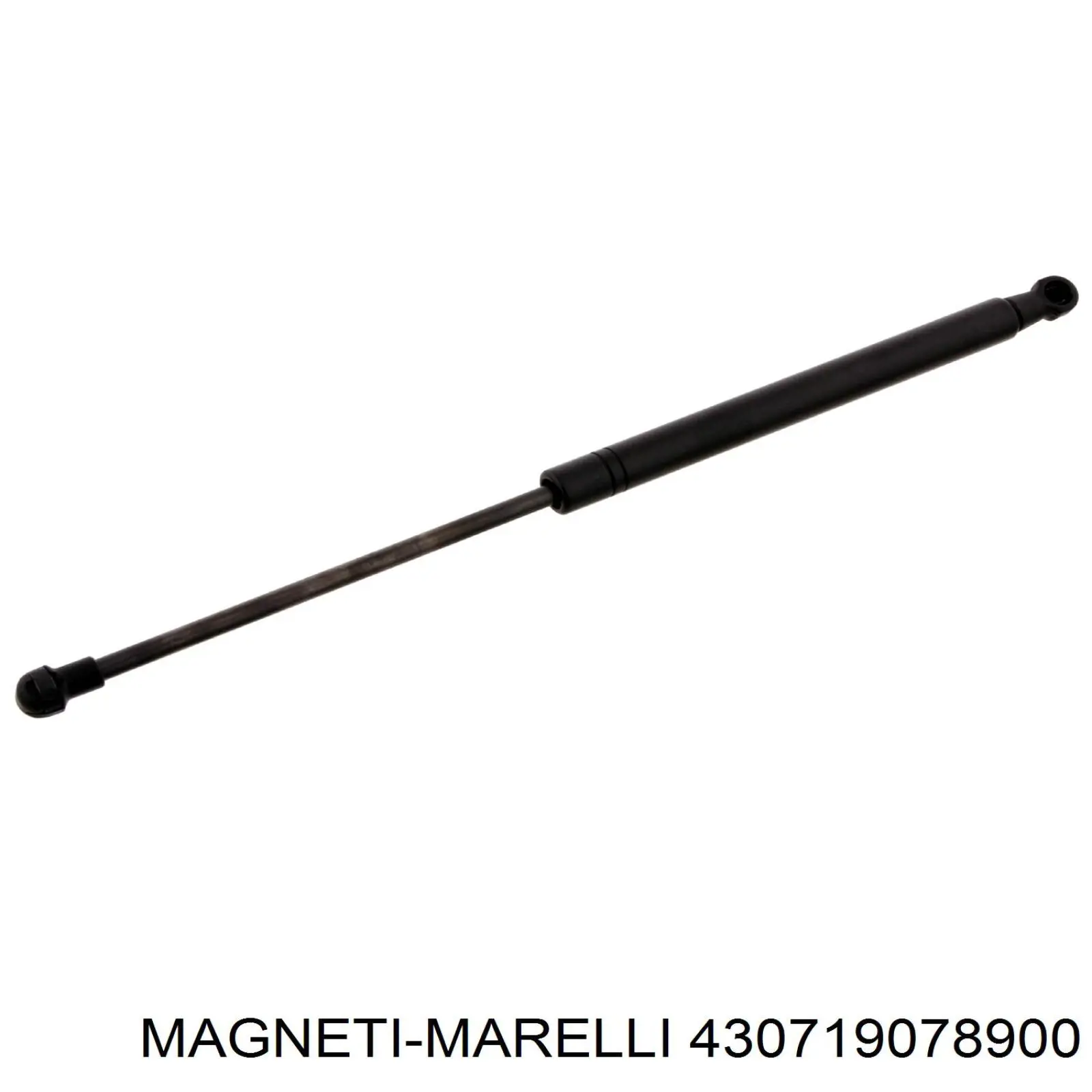 Купити 430719078900 Magneti Marelli Амортизатор двері багажника