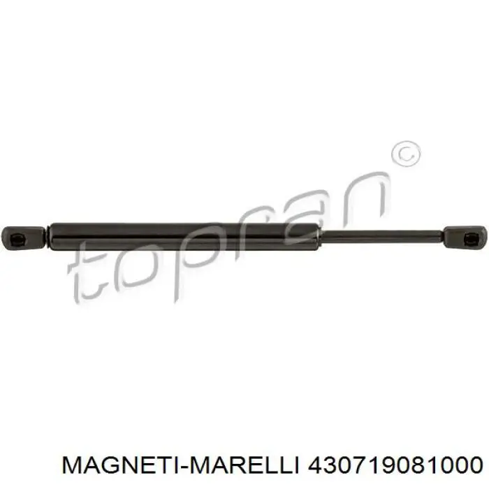 Купити 430719081000 Magneti Marelli Амортизатор двері багажника