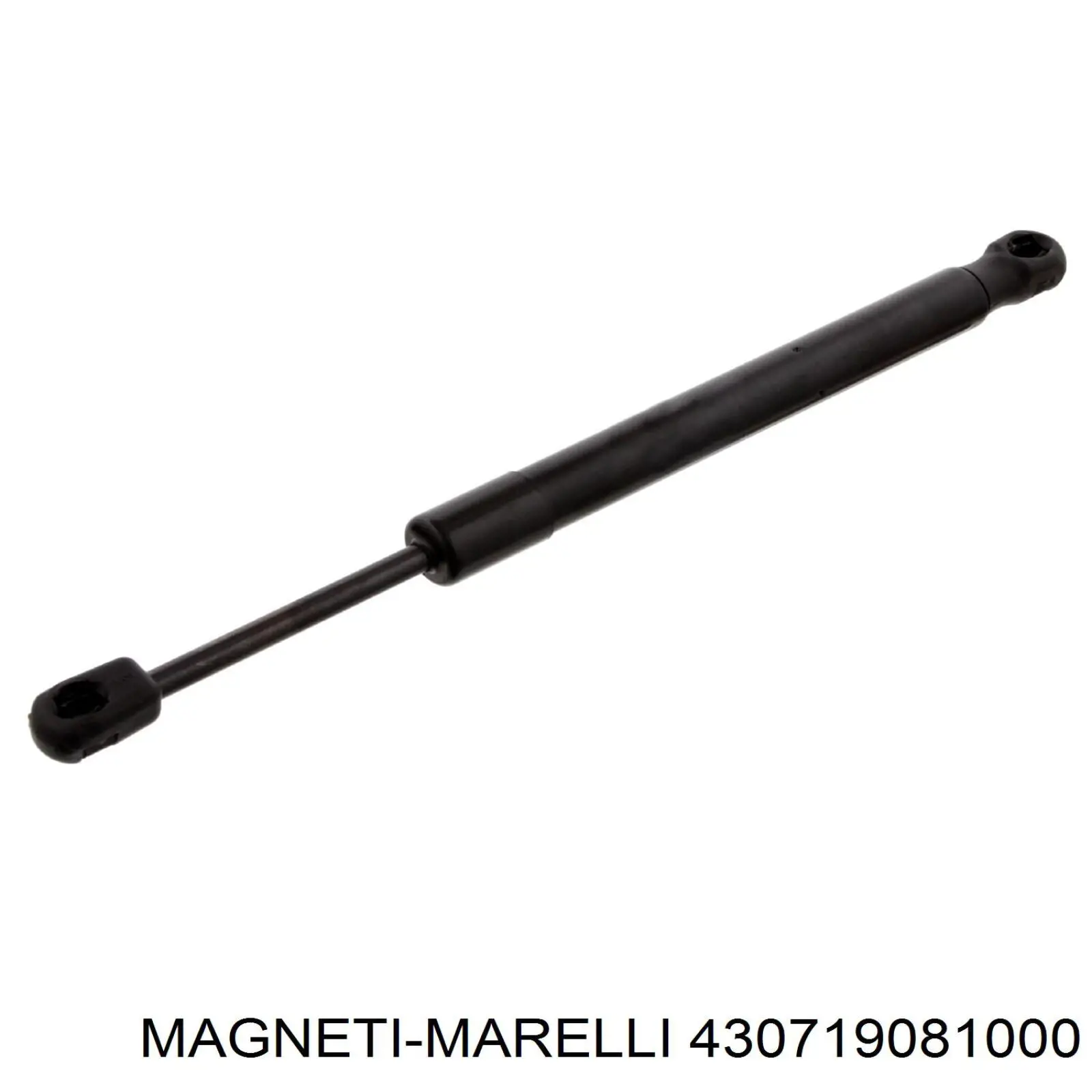 Амортизатор двері задньої Magneti Marelli 430719081000 ціна, від 8.18 USD