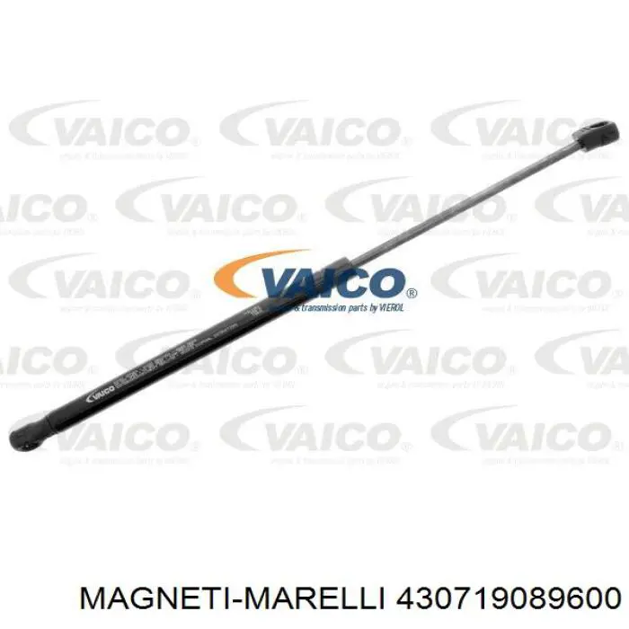 430719089600 Magneti Marelli Амортизатор кришки багажника / двері 3/5-ї задньої