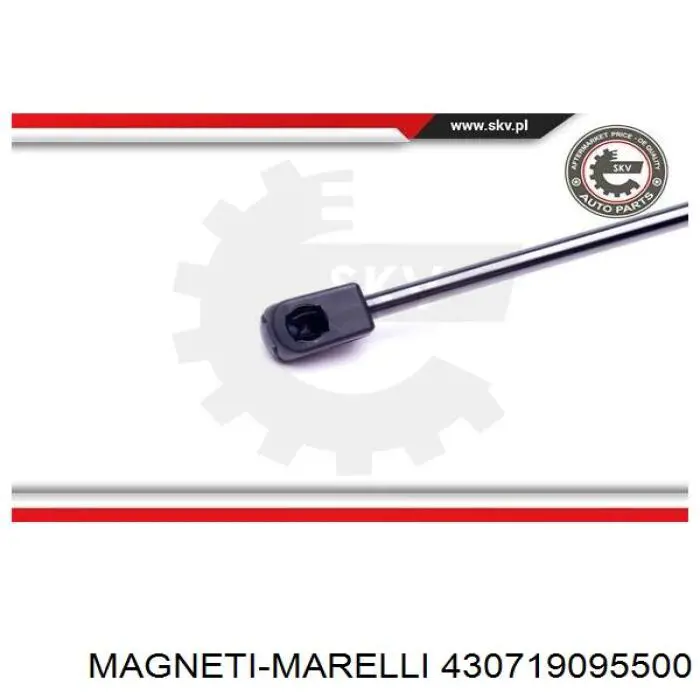 430719095500 Magneti Marelli Амортизатор кришки багажника / двері 3/5-ї задньої