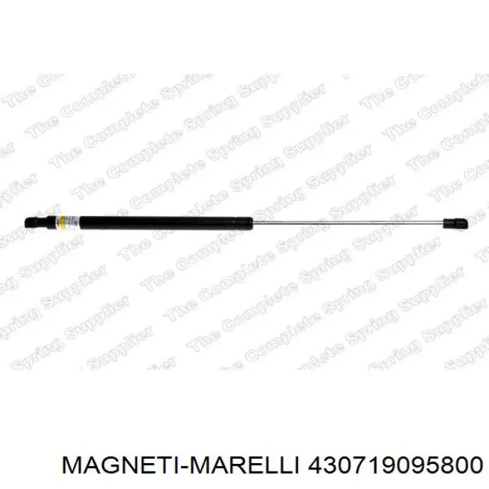 Купити 430719095800 Magneti Marelli Амортизатор двері багажника
