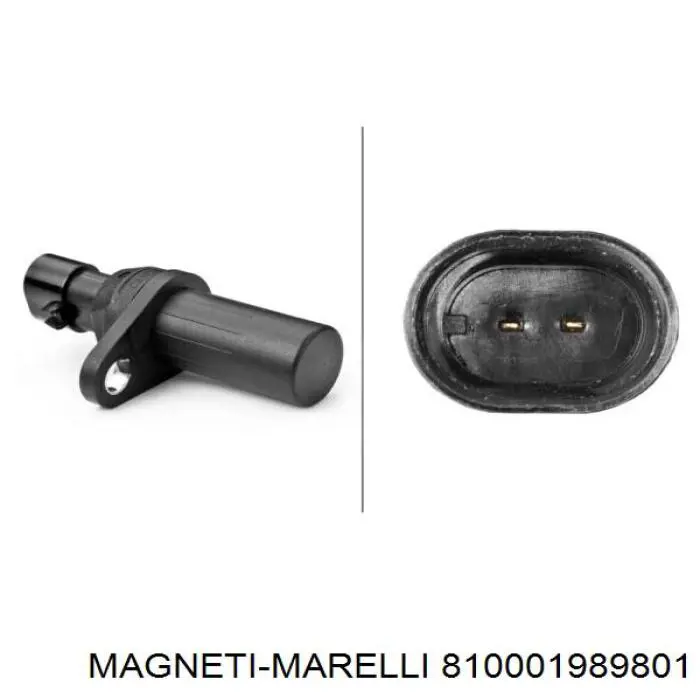 Датчик положення (оборотів) коленвалу 810001989801 Magneti Marelli