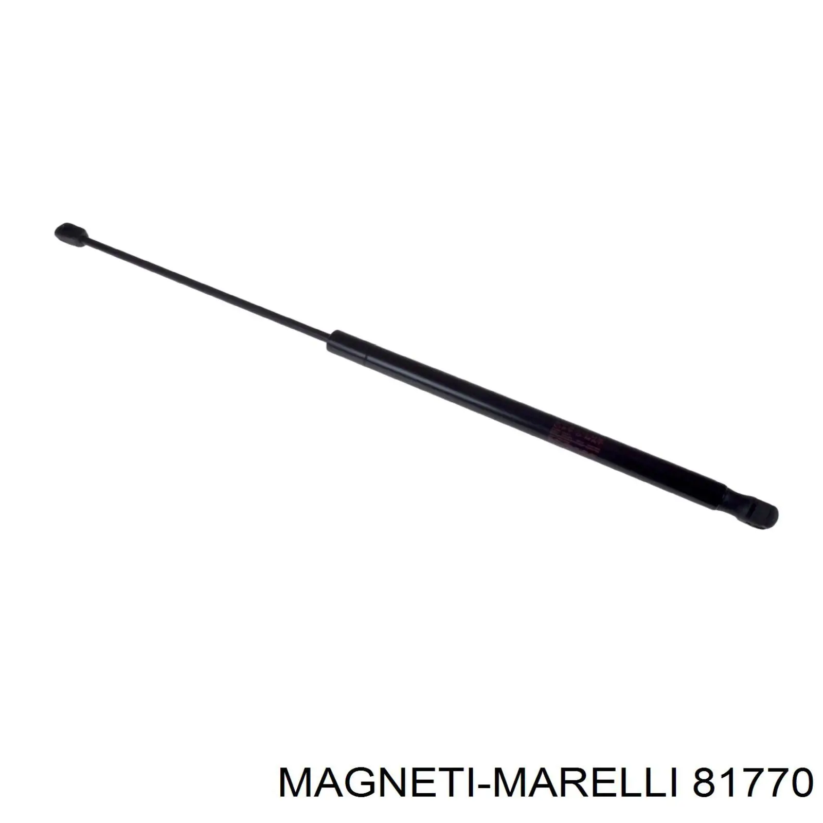 81770 Magneti Marelli Насос охолодження