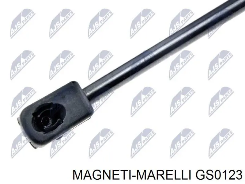 Амортизатор кришки багажника/ двері 3/5-ї задньої GS0123 Magneti Marelli