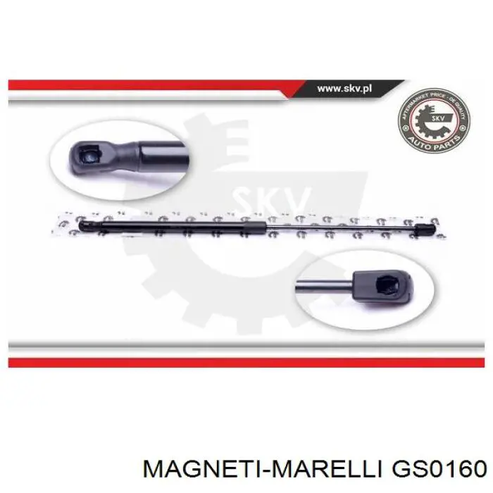 GS0160 Magneti Marelli Амортизатор кришки багажника / двері 3/5-ї задньої