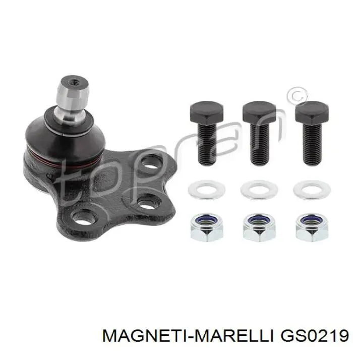 GS0219 Magneti Marelli Амортизатор кришки багажника / двері 3/5-ї задньої