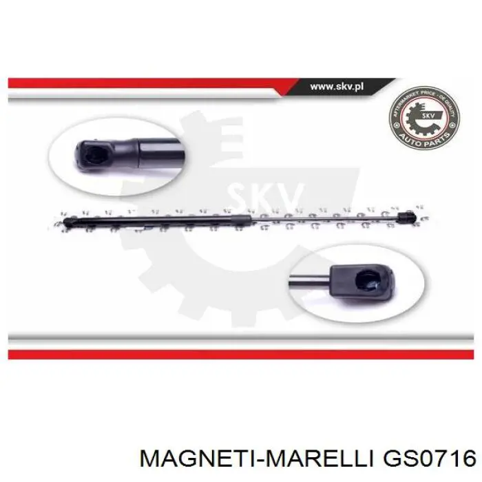 Купити 430719071600 Magneti Marelli Амортизатор двері багажника