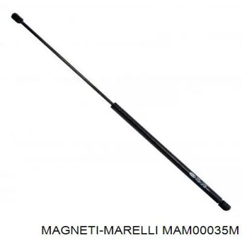 MAM00035M Magneti Marelli Електробензонасос