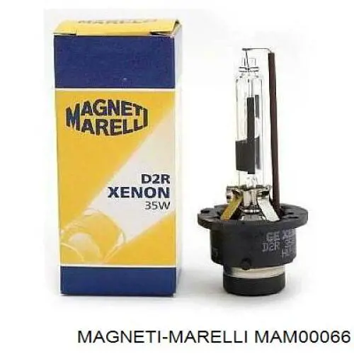 MAM00066 Magneti Marelli паливний насос електричний, занурювальний