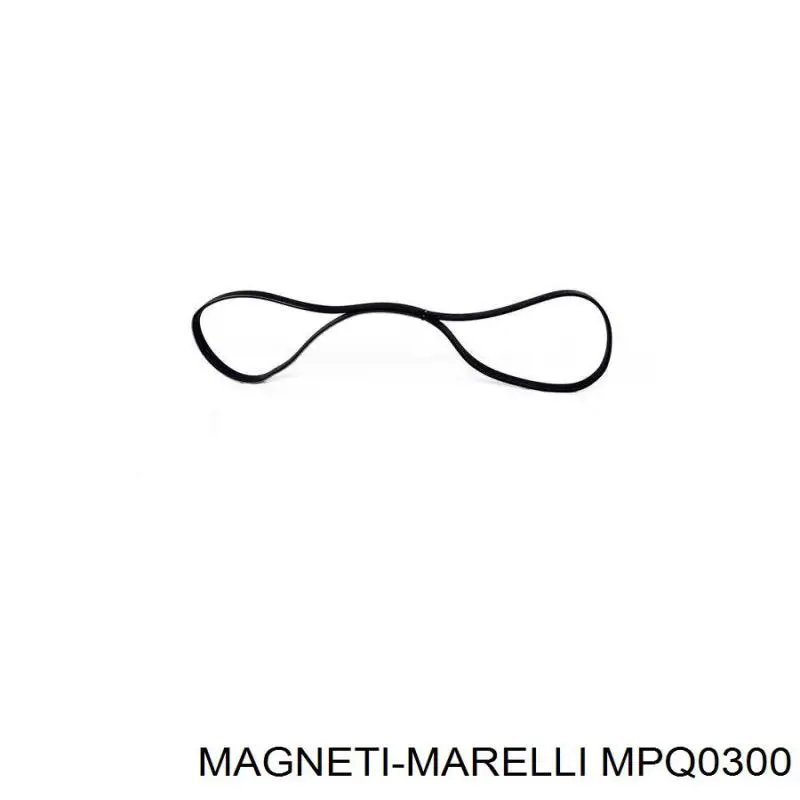 MPQ0300 Magneti Marelli Натяжна планка поліклинового ременя