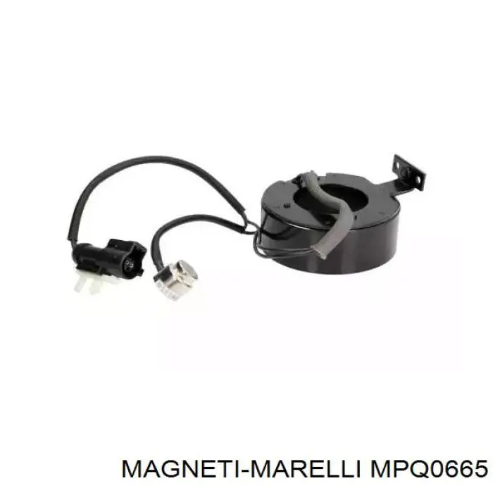 MPQ0665 Magneti Marelli Натяжна планка поліклинового ременя