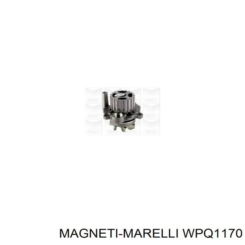 Купити WPQ1170 Magneti Marelli Насос охолоджуючої рідини