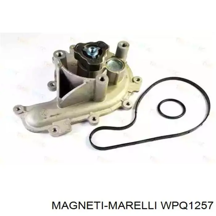 Купити WPQ1257 Magneti Marelli Помпа водяна (насос) охолодження, в зборі з корпусом