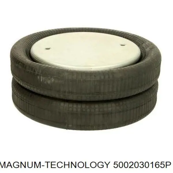  5002030165P Magnum Technology