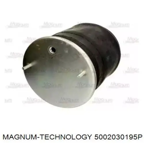 Пневмоподушка/Пневморессора моста W01M586223 Firestone