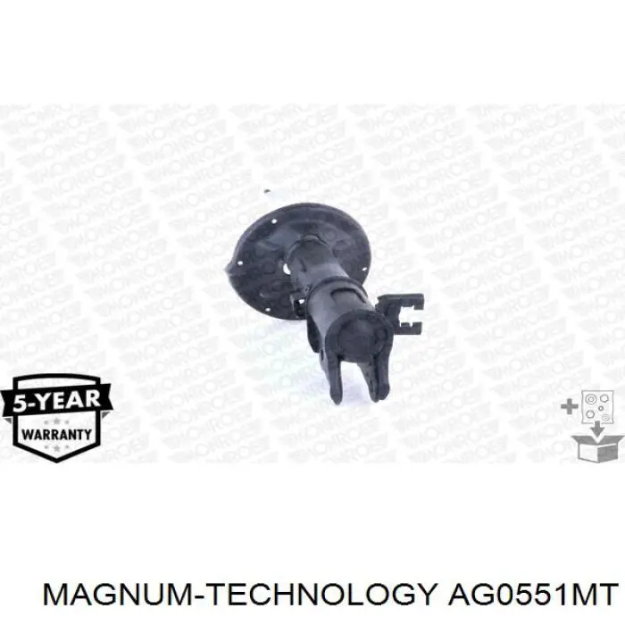 RS317604 Raiso Амортизатор задній, лівий