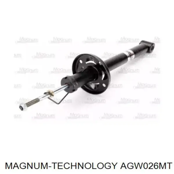 Купити RS105748 Raiso Стійка амортизатора задня