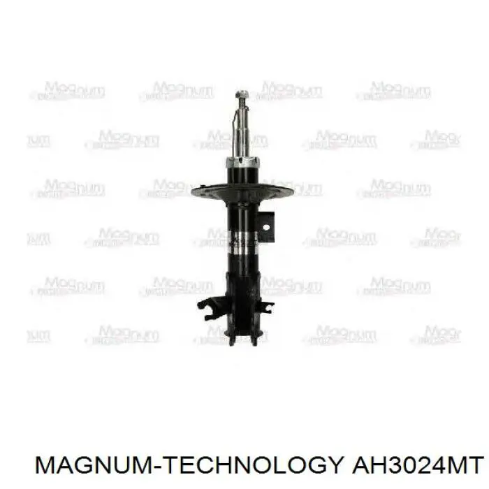 Купити RS280691 Raiso Стійка амортизатора задня