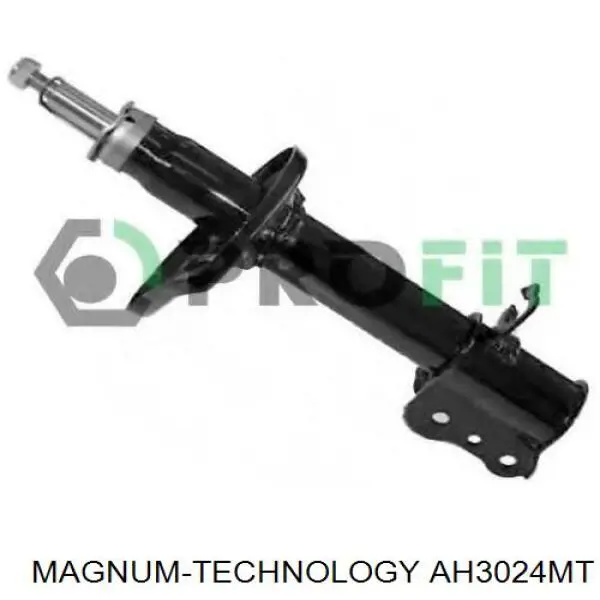 Амортизатор задній RS280691 Raiso
