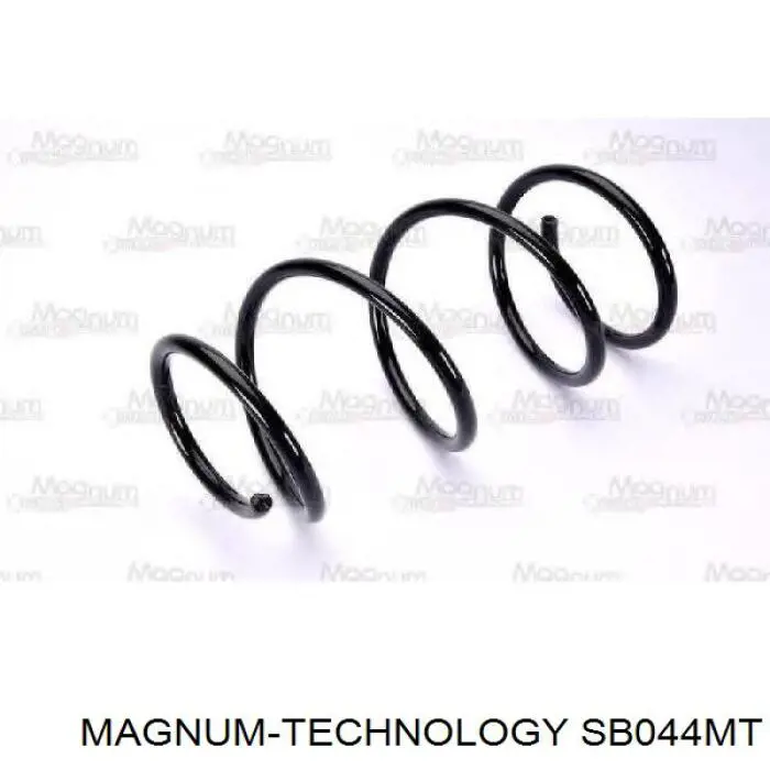 Купити LS4208412 Lesjofors Задні пружини