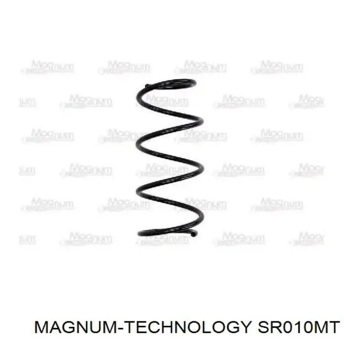 Пружина передня Renault (RVI) 8200666438 ціна, від 19.73 USD