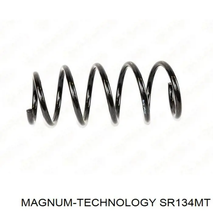 Купити 6001549188 Renault (RVI) Гвинтова пружина підвіска