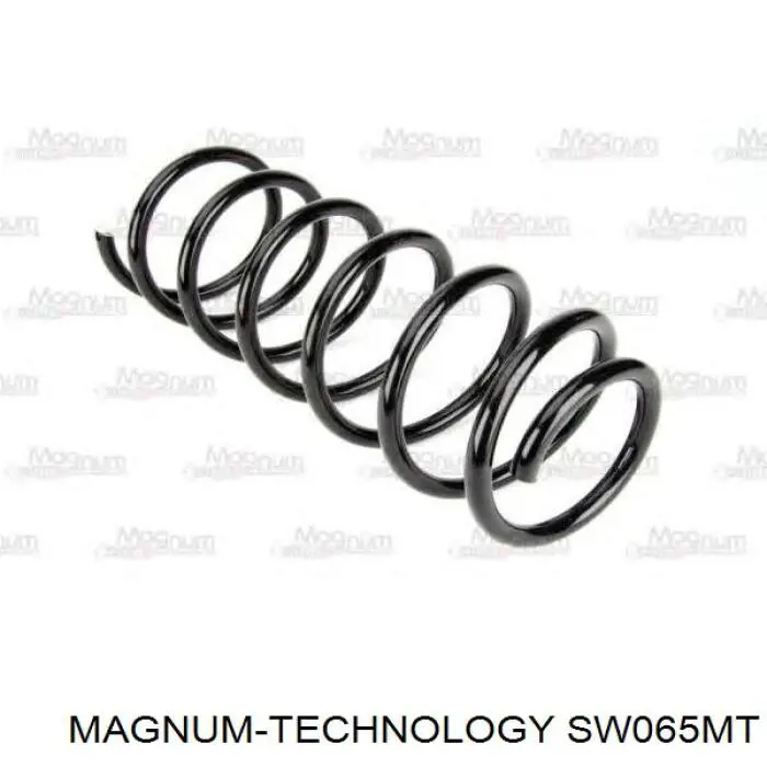 Купити SW065MT Magnum Technology Задні пружини