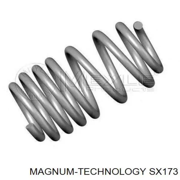 Пружина задня Renault Trafic II фургон (FL) (2001 - 2014) ціна, від 43.41 USD