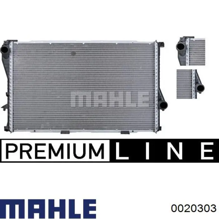 0020303 Mahle Original Поршень в комплекті на 1 циліндр, 1-й ремонт (+0,25)